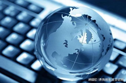 網絡文化經營新路徑 湖南助企文化傳媒解析企業為何必須開展網絡營銷